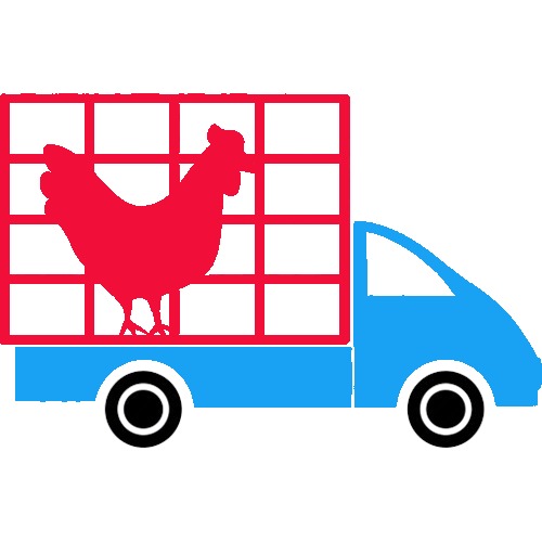 Home 11 Supplier Wing