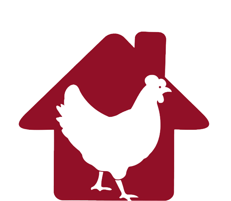 Home 10 Trader Wing 2