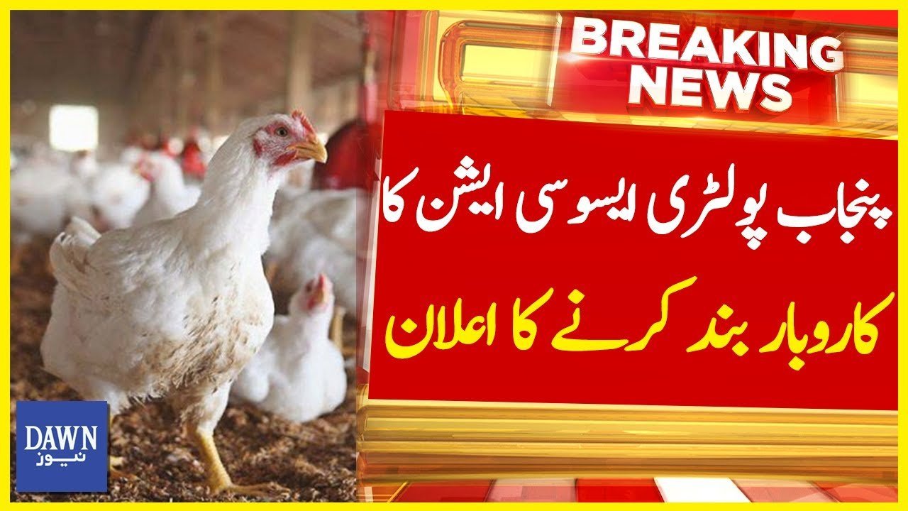 Punjab Poultry Association Ka Karobar Band Karne Ka Elan