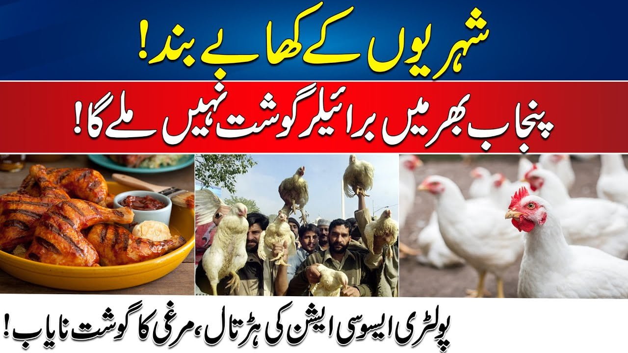 Punjab Poultry Trader Association On Protest