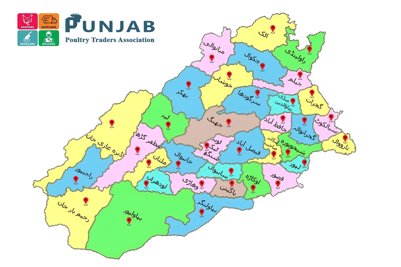 Home 38 punjab map ppta